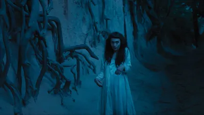 The Field Guide to Evil izle