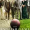 The English Game fragman izle